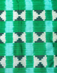 Ikatan Green Mulberry Silk Pochampally Ikat Saree Ikatan