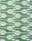 Ikatan Sage Green & Dark Pink Mulberry Silk Pochampally Ikat Saree