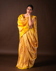 Bibhu Mohapatra Yellow Mulberry Silk Pochampally Ikat Saree Ikatan