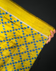 Ikatan Brown & Yellow Mulberry Silk Odisha Ikat Saree Ikatan