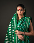 Ikatan Green Mulberry Silk Pochampally Ikat Saree Ikatan