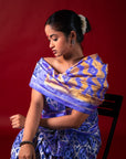Ikatan Iris Purple & Yellow Mulberry Silk Pochampally Ikat Saree Ikatan