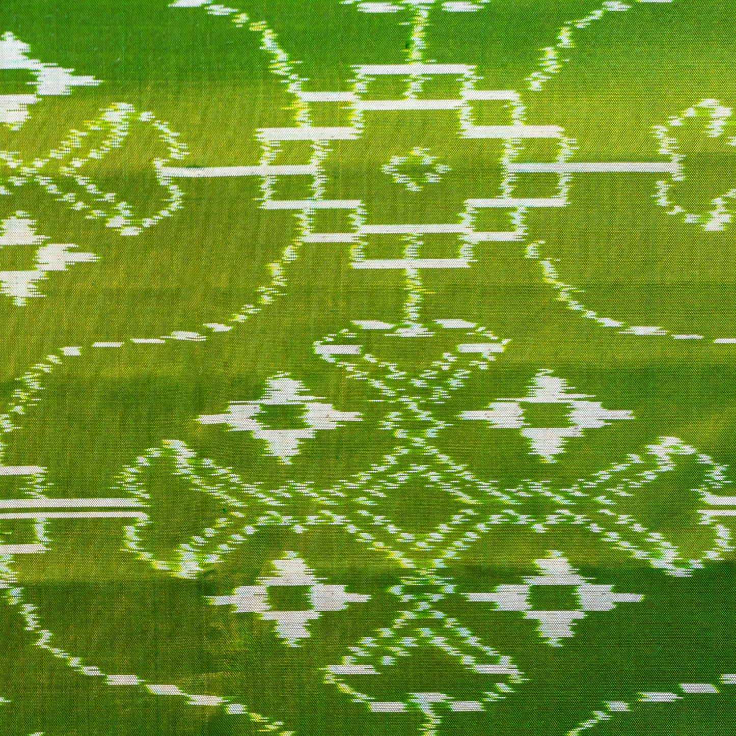 Ikatan Parrot Green & Peach Mulberry Silk Patola Ikat Saree Ikatan