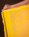 Bibhu Mohapatra Yellow & Grey Mulberry Silk Pochampally Ikat Saree Ikatan