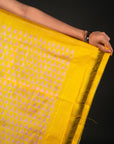 Bibhu Mohapatra Blue & Yellow Mulberry Silk Pochampally Ikat Saree Ikatan