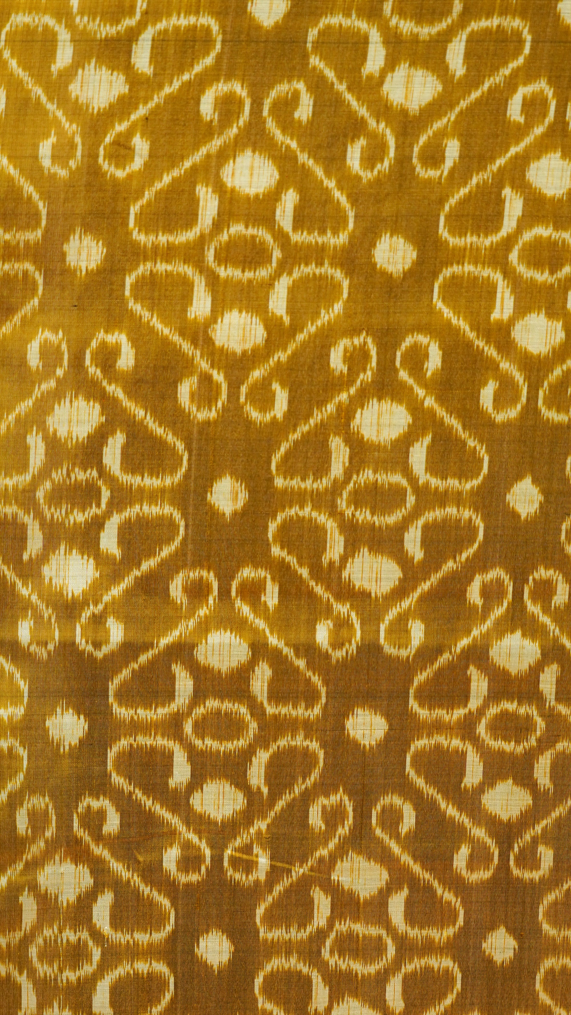 Golden &amp; Black Mulberry Silk Odisha Ikat Saree