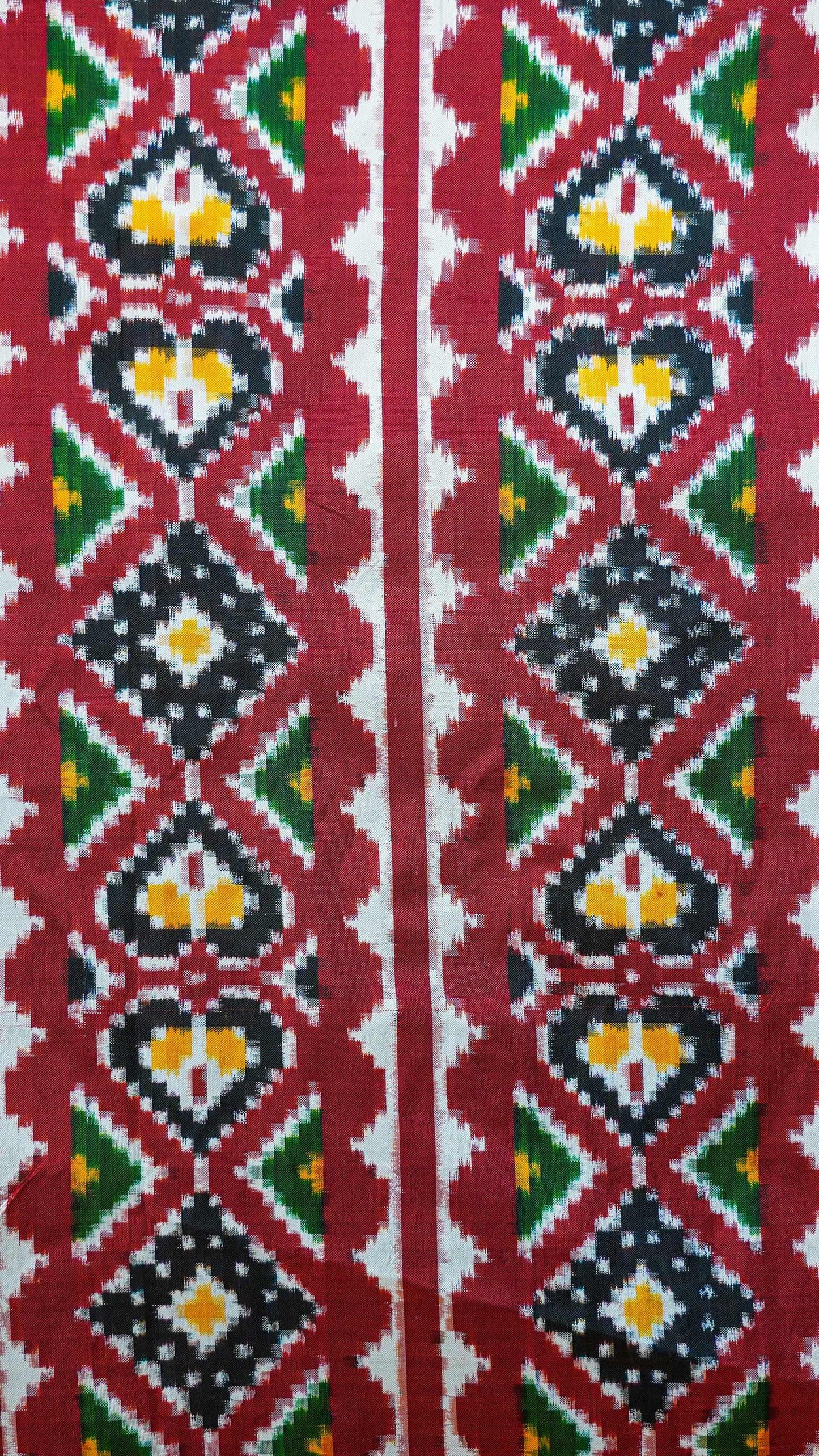 Red & Black Mulberry Silk  Double Ikat Saree