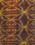 Brown & Yellow Mulberry Silk Khandua Ikat Saree