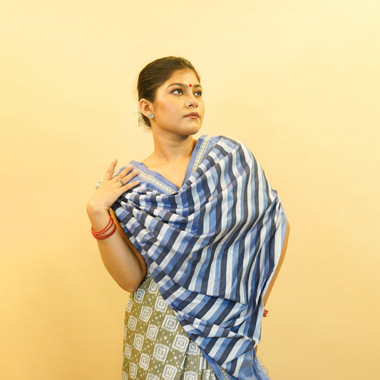 Dark Grey & Blue Mulberry Silk Pochampally Ikat Saree