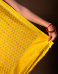 Bibhu Mohapatra Mauve & Yellow Mulberry Silk Pochampally Ikat Saree Ikatan