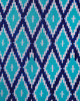 Ikatan Blue Mulberry Silk Odisha Geometric Ikat Saree Ikatan