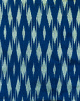 Bibhu Mohapatra Blue & Green Mulberry Silk Odisha Ikat Saree Ikatan